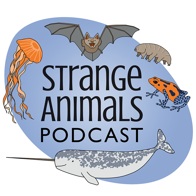 Strange Animals Podcast