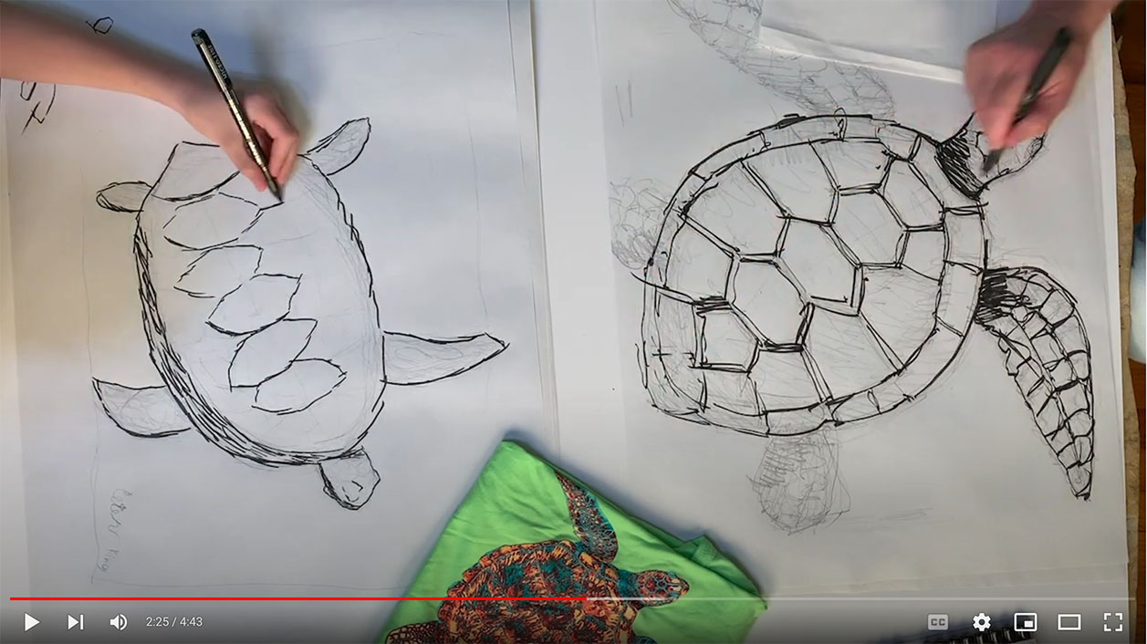 Drawing a sea turtle video